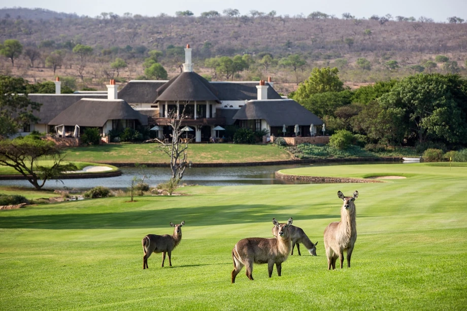 Leopard Creek, Golf w RPA z Carter