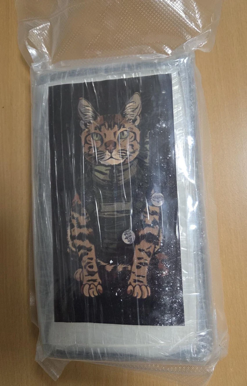 Hapšenje U Srbiji, Austriji i Španiji 