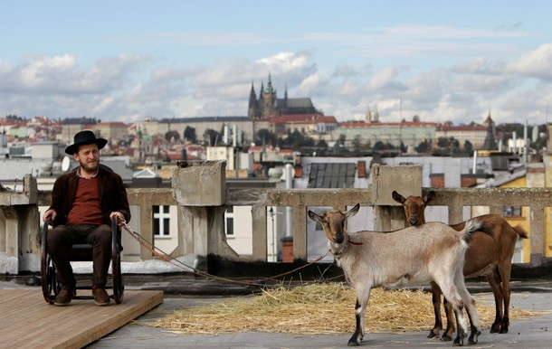 A culture activist Kobza sits on a chair next to two goats on the terrace of a rooftop community gar