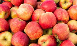 Odmiany jabłek - które najzdrowsze? Jakie jabłka dodać do ciasta, a jakie jeść na surowo?