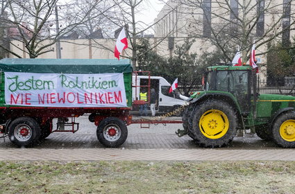 Nadprodukcja zboża. Cena pszenicy spadła najniżej od 2021 r.