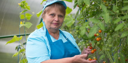 Powiększ sobie emeryturę z Faktem24