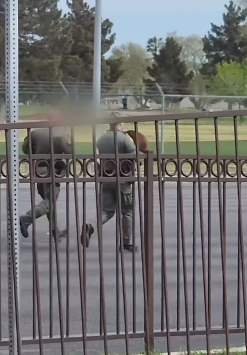 Psa su morali da prenesu u specijalizovanu bolnicu