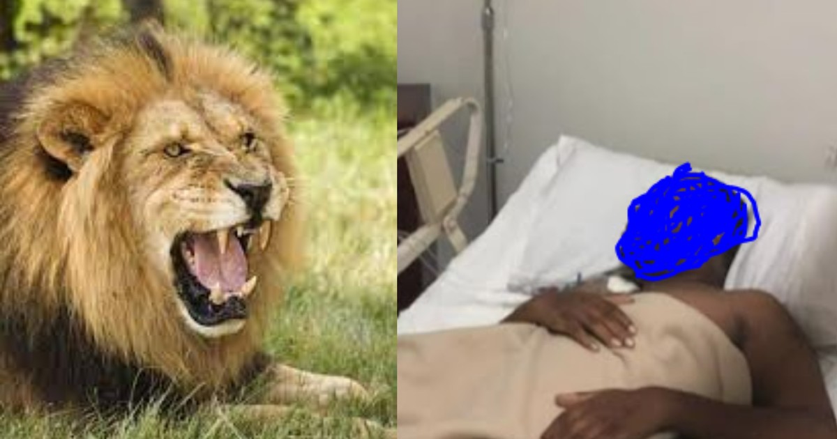 Brave husband and wife hospitalised after defeating wild lion in an attack - Vimarsana News