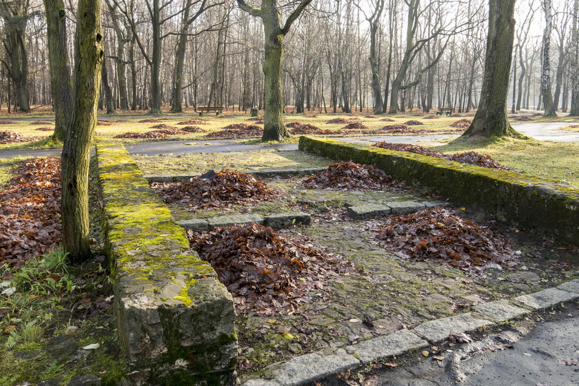 Dąbrowa Górnicza. Park Zielona będzie przebudowany