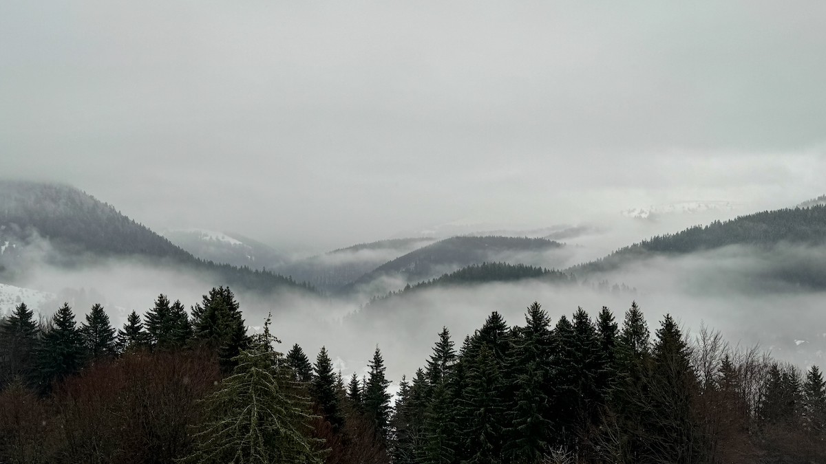 Zasnežené kopce v Nízkych Tatrách