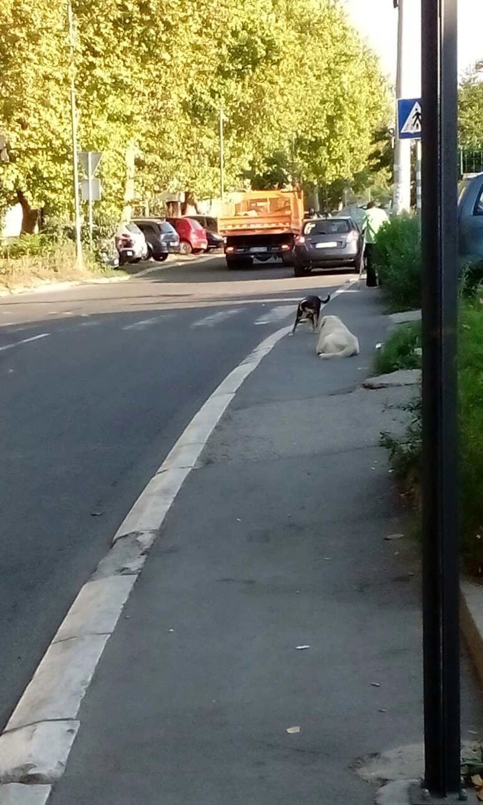 Prete u Ljubiše Miodragovića i Samjuela Beketa