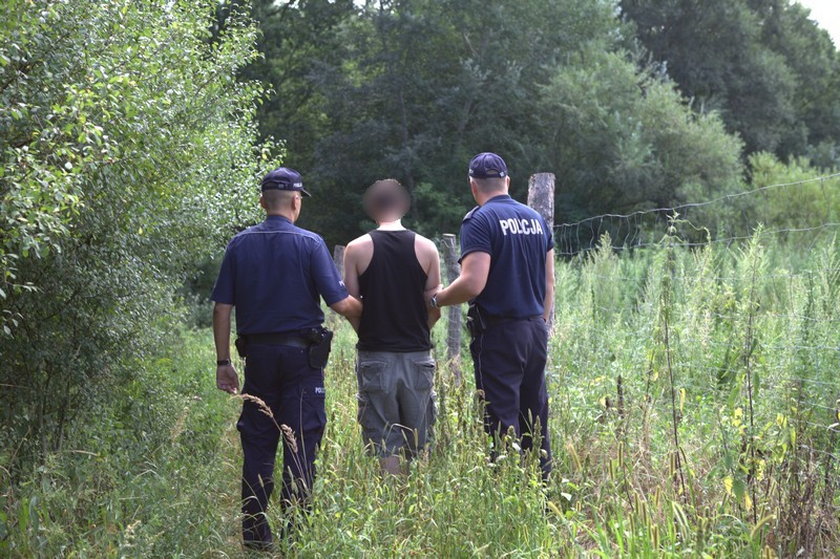 Zlikwidowano plantację marihuany na poligonie w Biedrusku