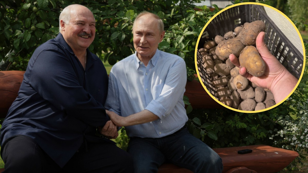 Sąsiadom Polski głód zaglądał w oczy. Z pomocą ruszyli Gruzini z ziemniakami