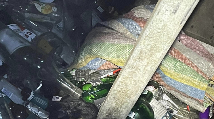 Szelektív kukában találták meg a kidobott kiskutyákat Fotó: Facebook