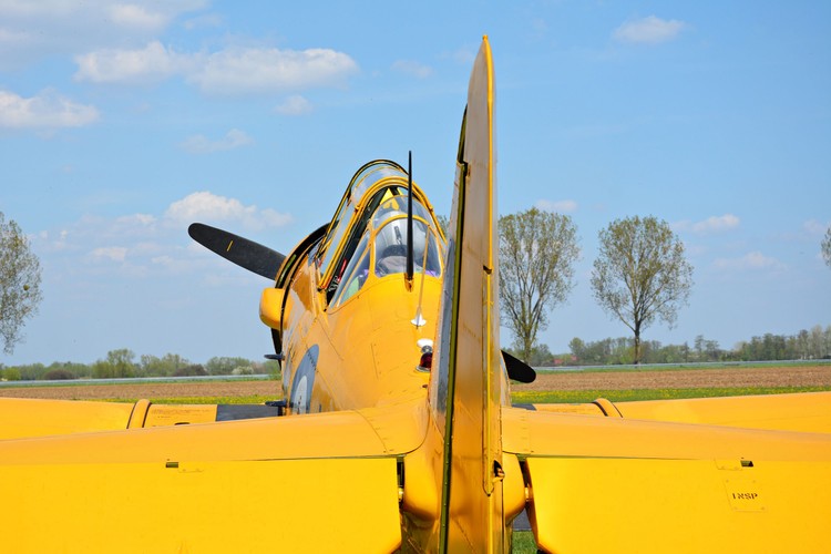 Harvard, samolot z czasów II wojny światowej