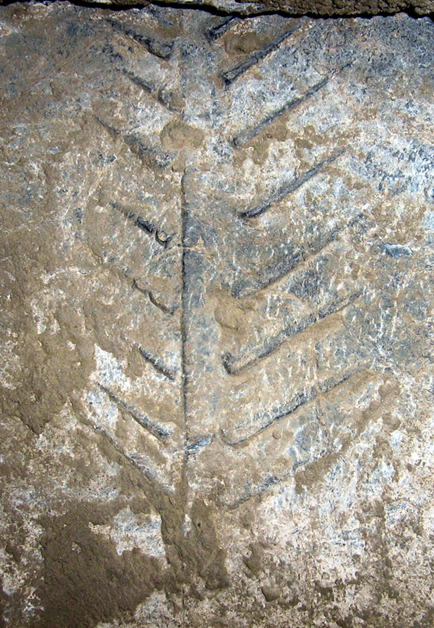 Drvo života na urni