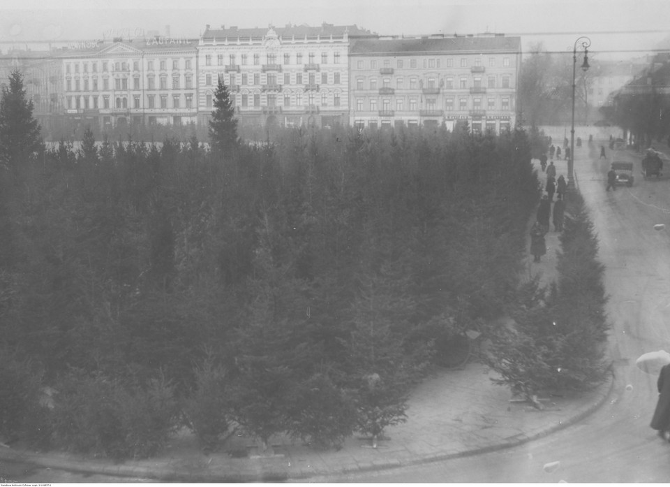Sprzedaż choinek na placu Piłsudskiego  Warszawie (1932 r.)