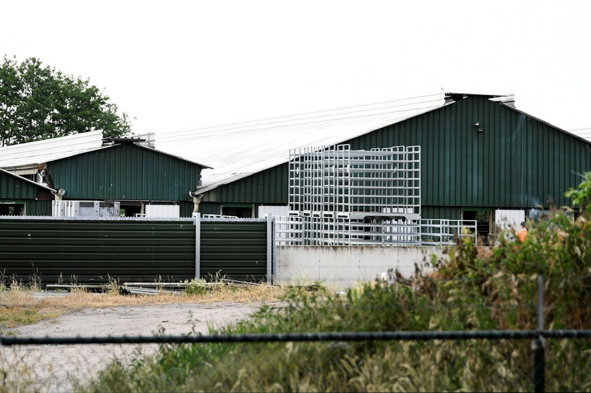 FILE PHOTO: A mink farm is seen during the coronavirus disease (COVID-19) outbreak in Oploo