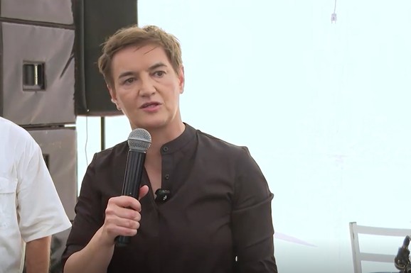 "SLEDEĆI IZBORI SU NAJVAŽNIJI U ISTORIJI SRBIJE" Brnabić u Leštanima: "Moramo da odbranimo zemlju" (VIDEO)
