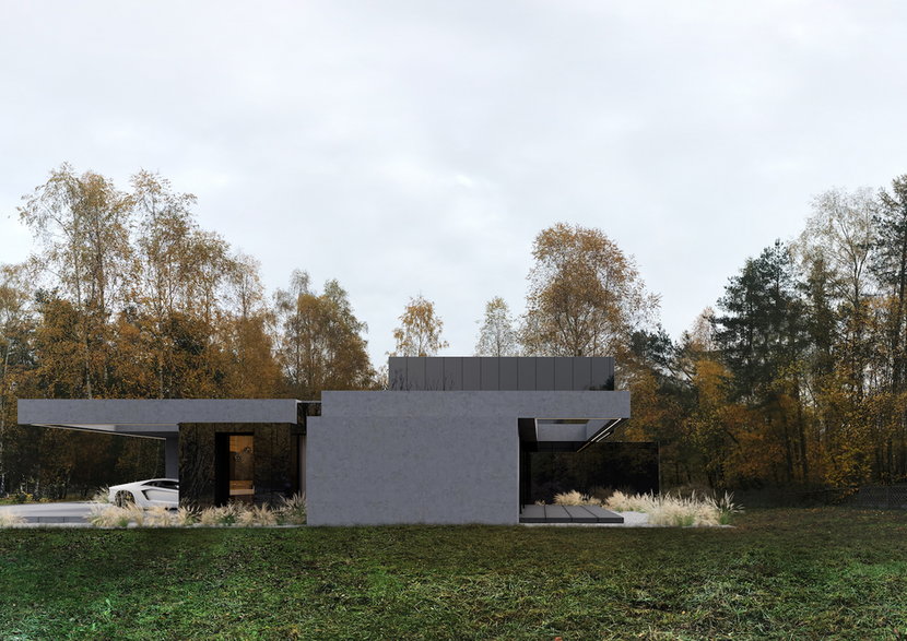 Stark House od Reform architekci