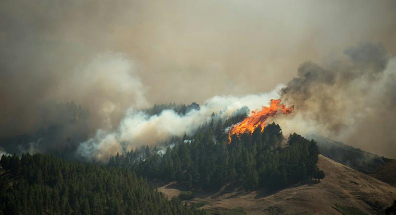 Thousands of people have been evacuated because of a raging wildfire on Gran Canaria