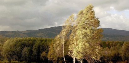 Pogoda na pierwszy październikowy weekend. Na chwilę wrócą upały? IMGW ostrzega przed silnym wiatrem!