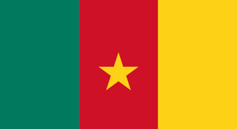 Falg of Cameroon 