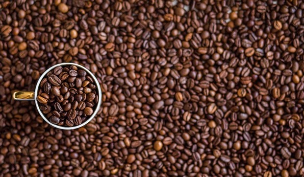 Kafa