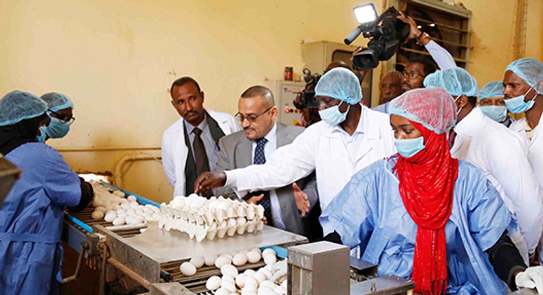 DP William Ruto visited a farm that rears 1.2 million chicken