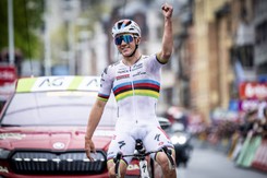 Pojedynek Evenepoela z Roglicem w Giro d'Italia [ZAPOWIEDŹ]