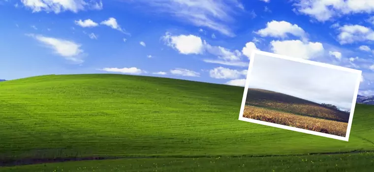 Jak powstała słynna tapeta z Windows XP i jak dziś wygląda łąka?