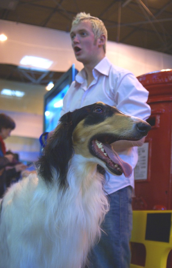 CRUFTS psy i ich właściciele