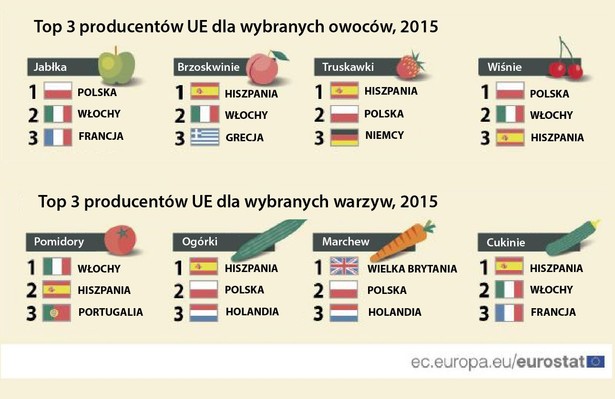 Polska wieś ma się dobrze. Jest jednym z największych producentów owoców i warzyw w Europie