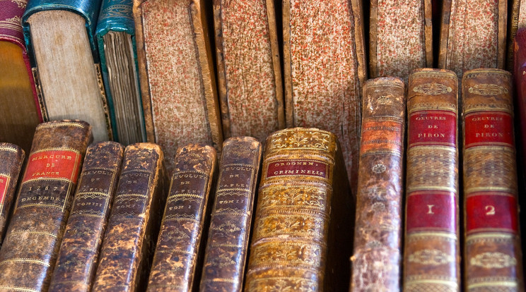 Töredékáron adta el a kilopott régi könyveket a könyvtáros (illusztráció) / Fotó: Northfoto