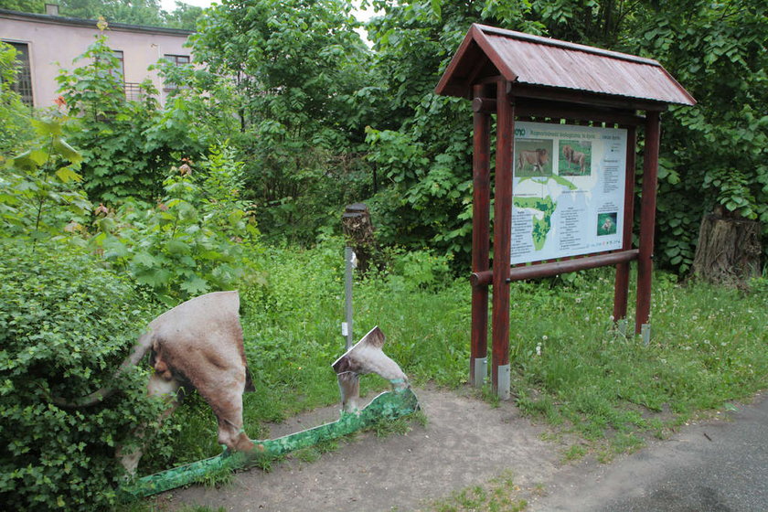 Zniszczenia w Łódzkim Zoo