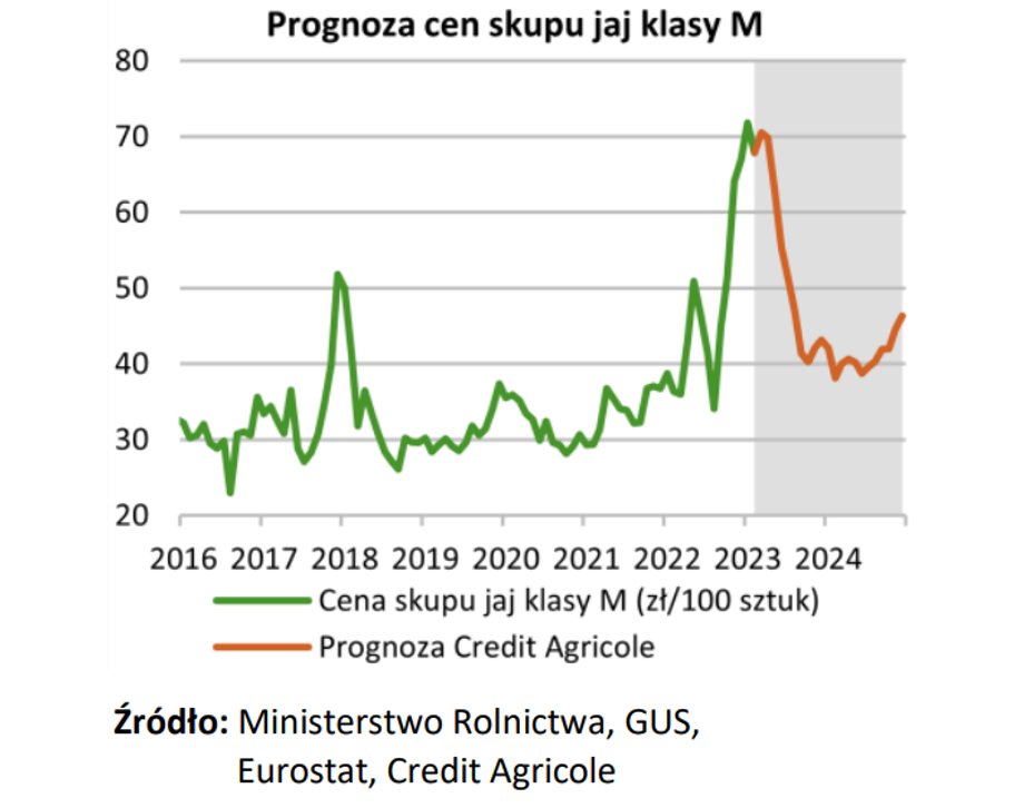 Jeśli prognozowane ceny skupu jaj przełożą się na stawki w sklepach, powinniśmy odczuć wyraźną ulgę w drugiej połowie 2023 r.