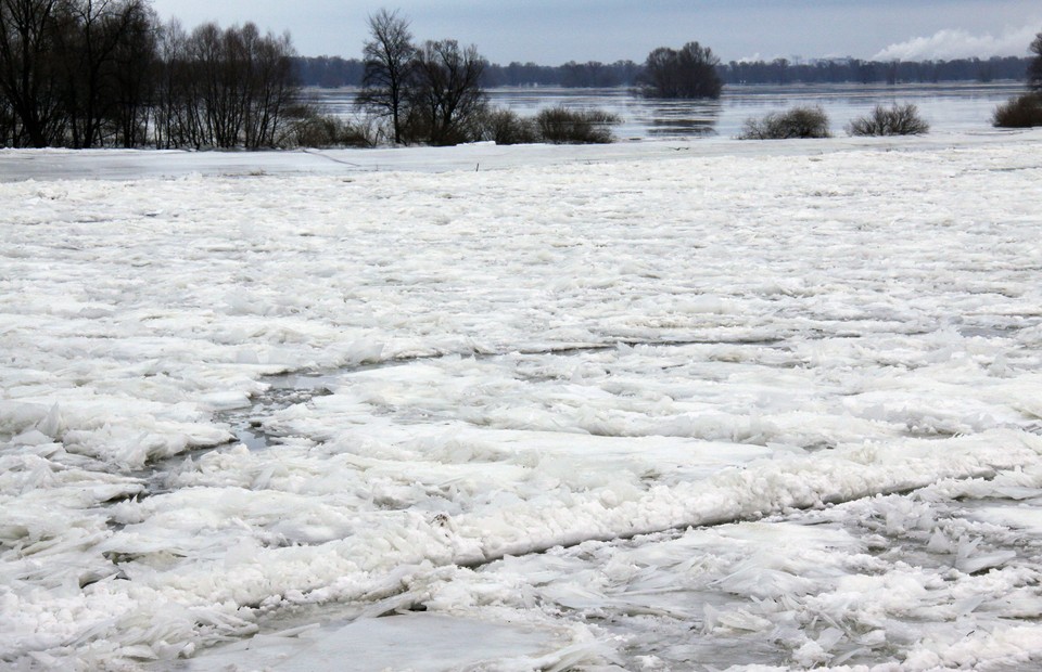 KRAJNIK ZATOR LODOWY ODRA