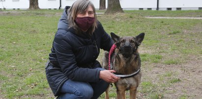 Z psem do biblioteki? W stolicy uruchomiono nietypową akcję