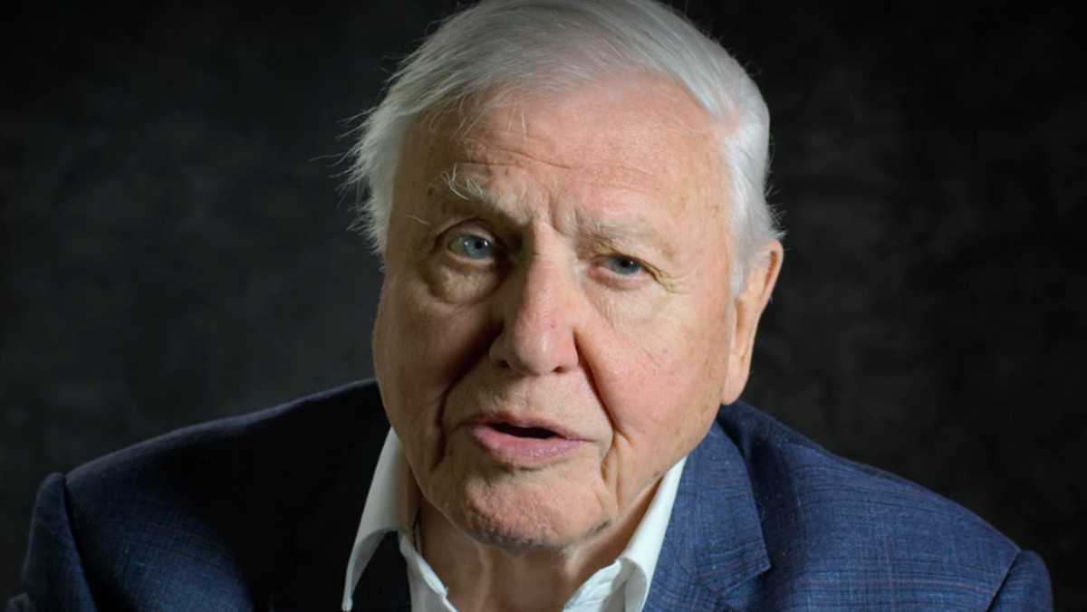 Sir David Attenborough ostrzega przywódców G7 w sprawie zmian klimatycznych