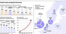 Portugalski EDP chce zainwestować w polską energetykę kilkaset mln euro