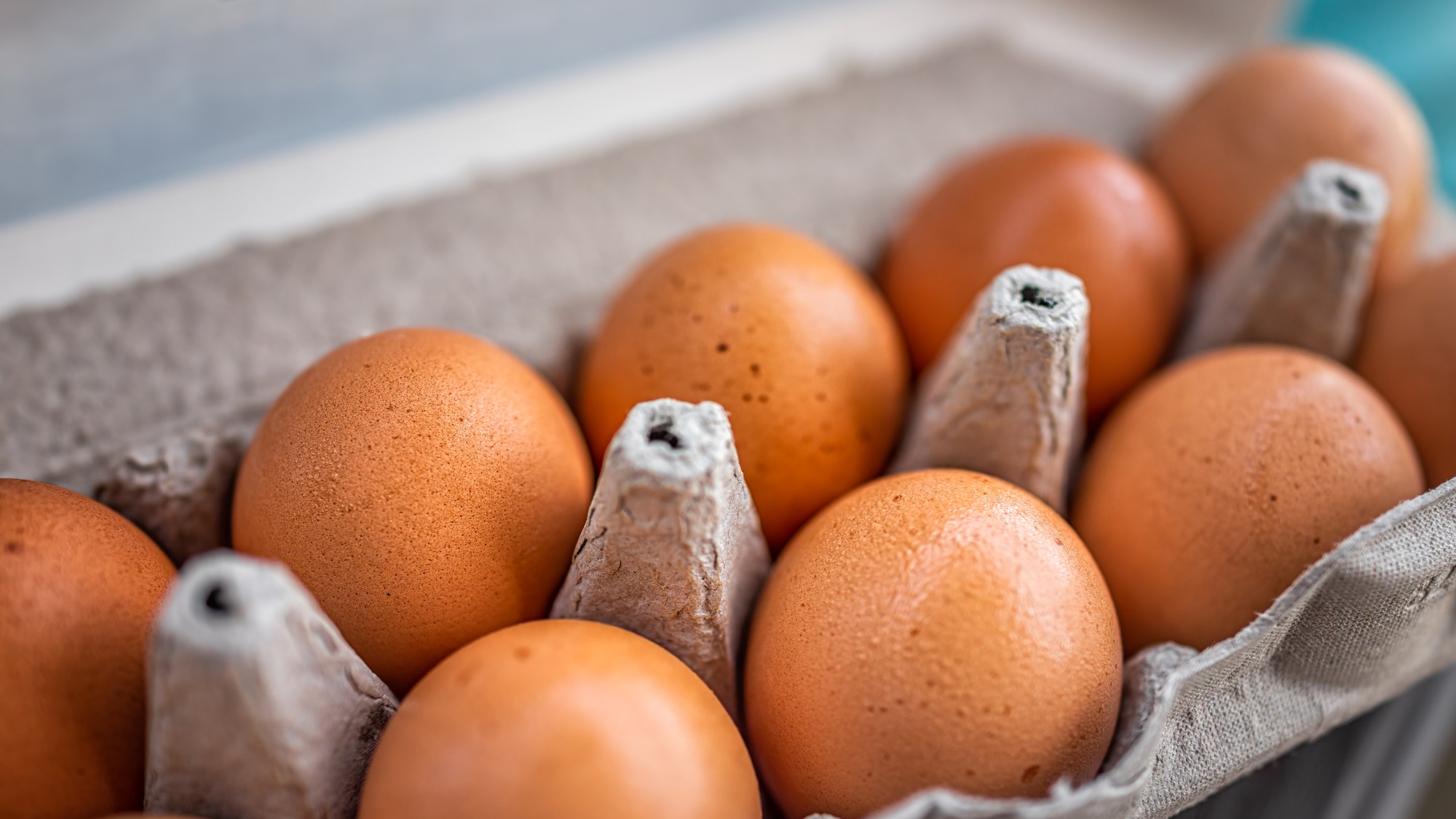 Štátna veterinárna a potravinová správa SR na sociálnej sieti varuje Slovákov. (ilustračné foto)