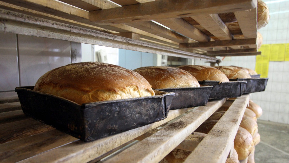 Bochenek chleba za 7 i pół grosza. 10 kg makaronu za 10 złotych. Trwa wyprzedaż żywności w Wojsku Polskim. Agencja mienia wojskowego w Warszawie do tej pory organizowała przetargi. Teraz konserwy, groszek czy fasolę można kupić niemalże od ręki.