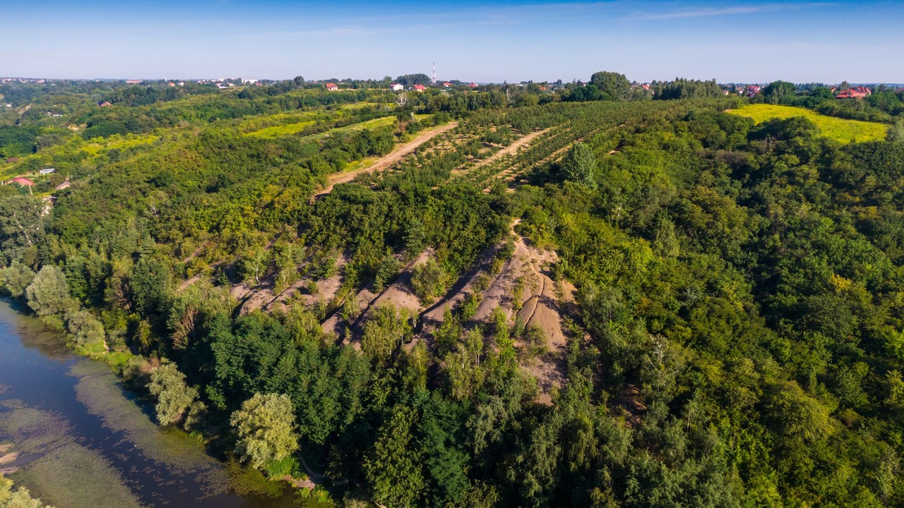 Najstarsze góry w Polsce. Góry Pieprzowe i ich niezwykła przyroda
