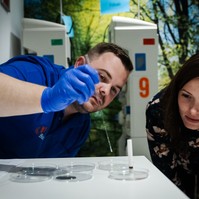 Meglepetések és kulisszatitkok a véradásról a Plazmaadók Éjszakáján