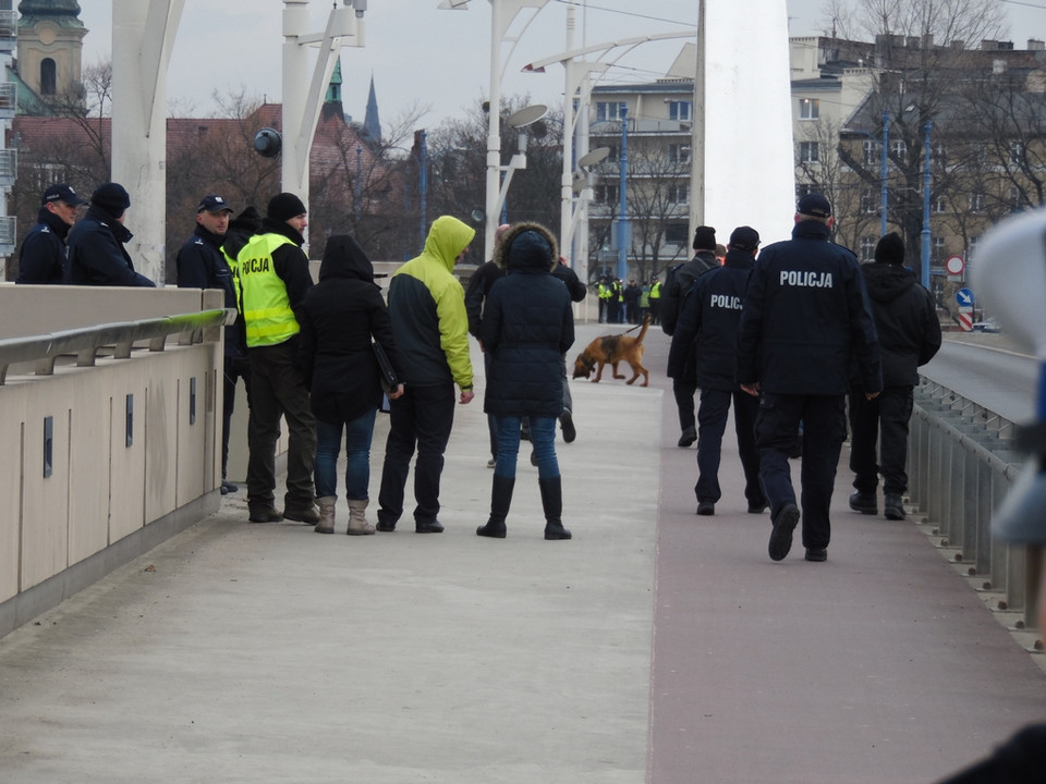 Poznań: szukali Ewy Tylman z wykorzystaniem psów tropiących