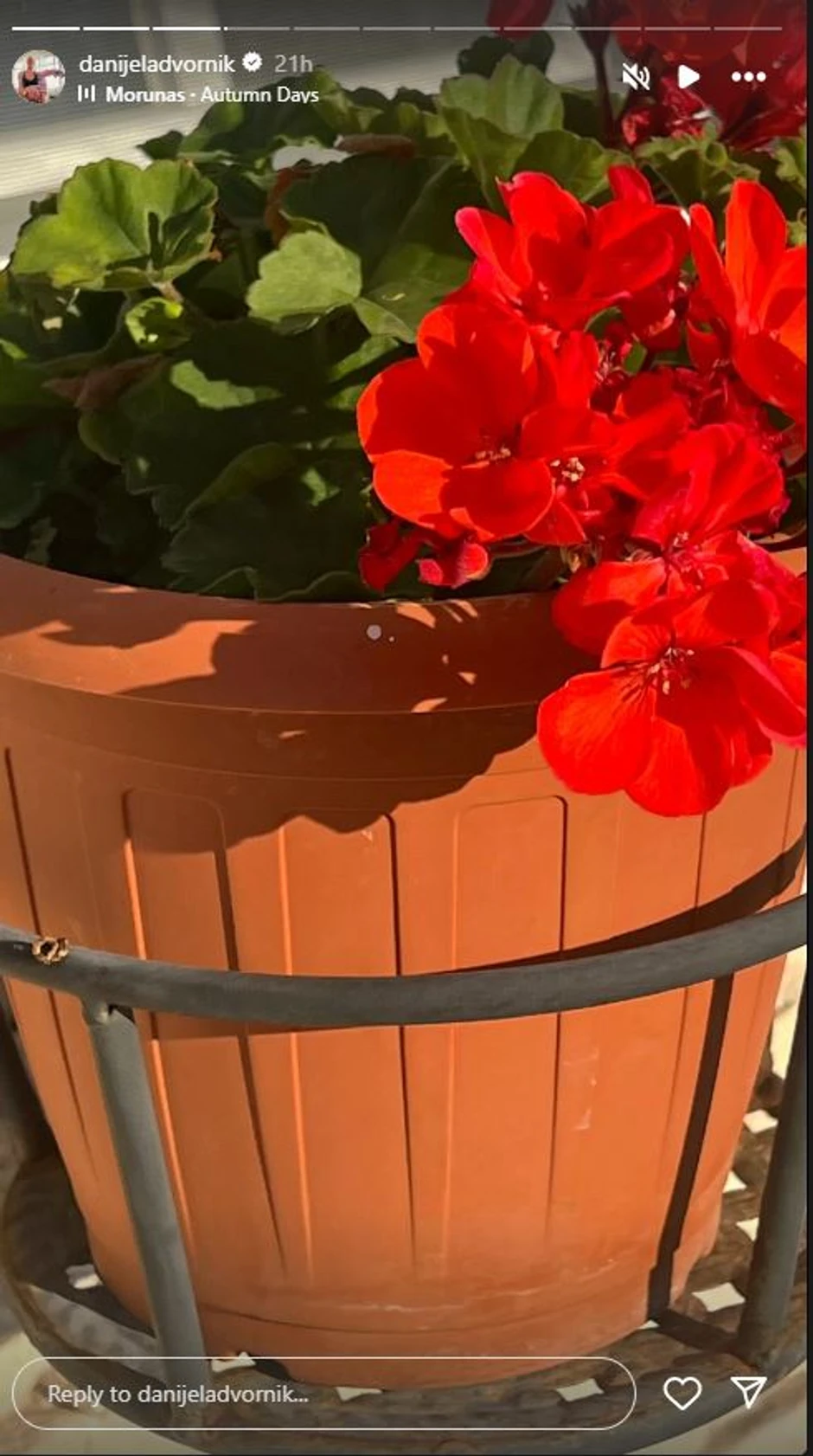 Danijela Dvornik pokazala dvorište