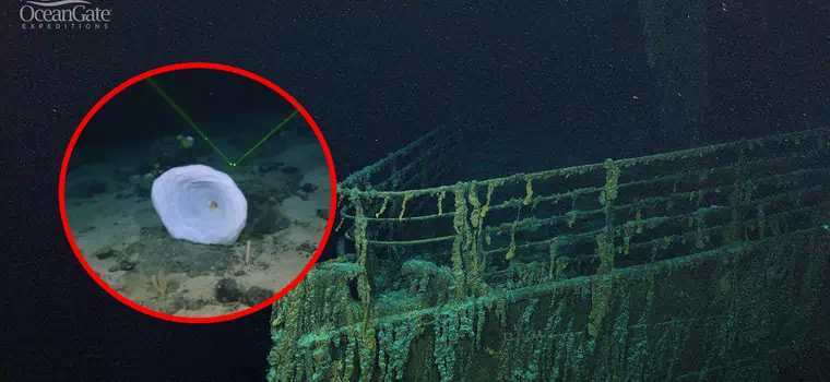 Niezwykłe znaleziska naukowców w pobliżu wraku Titanica. Czegoś takiego się nie spodziewali