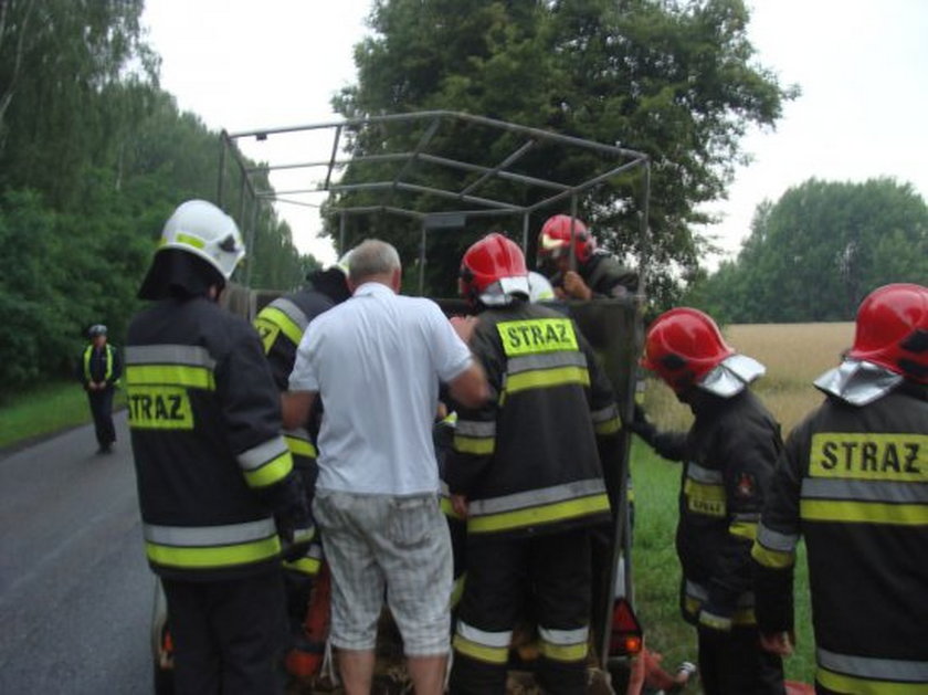 Koń utknął w przyczepce