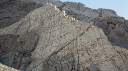 sensacyjne odkrycie. znaleziono wielką dolinę dinozaurów