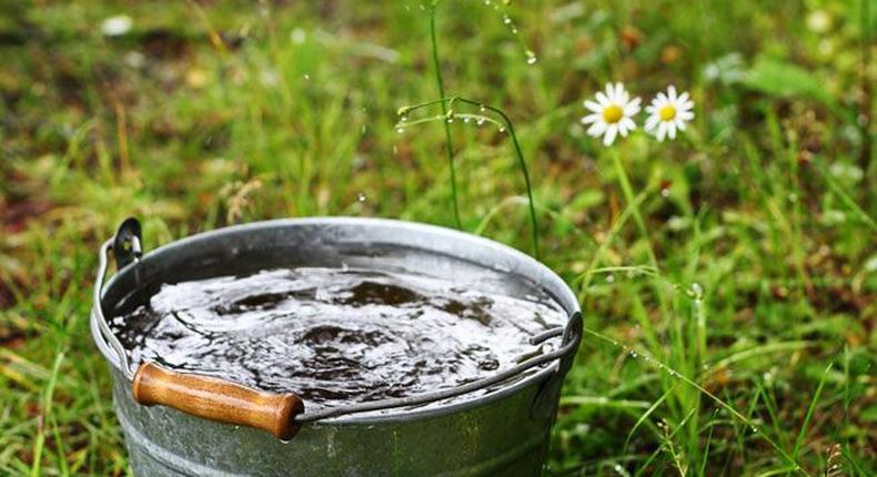 A bucket of water