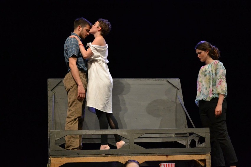 „Sindrom slatke krvi“ - Fakultet dramskih umetnosti Beograd