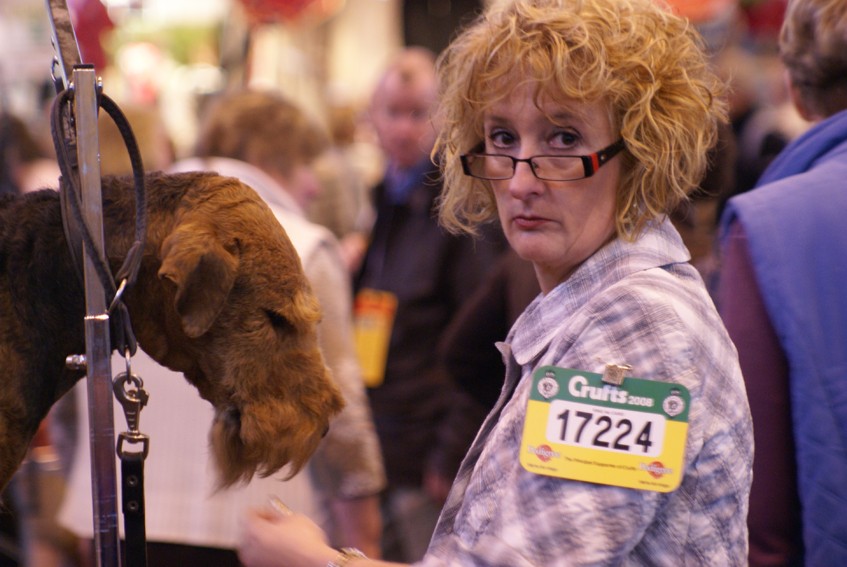 CRUFTS psy i ich właściciele