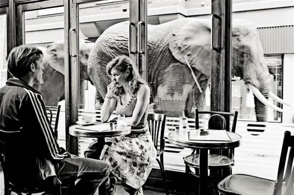 Zakochani widzą słonie - kadr