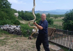 Mišo Pamučina